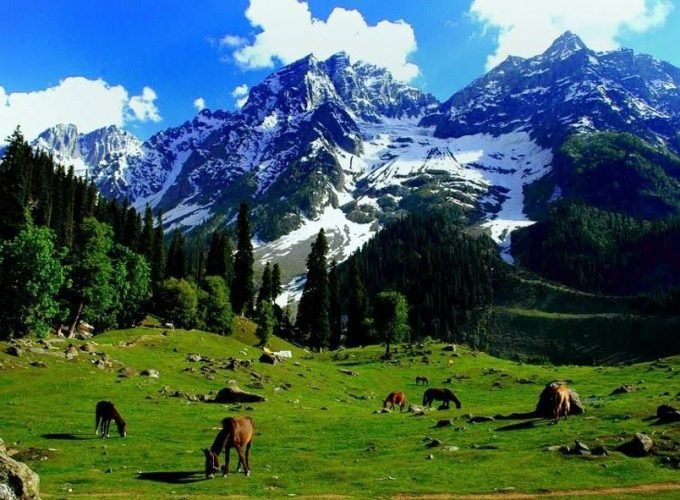 Kashmir with Pahalgam Gulmarg Sonmarg – 6 Days