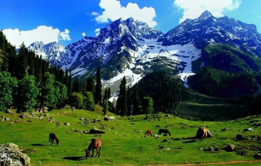 Jammu Pahalgam Sonmarg Gulmarg Srinagar