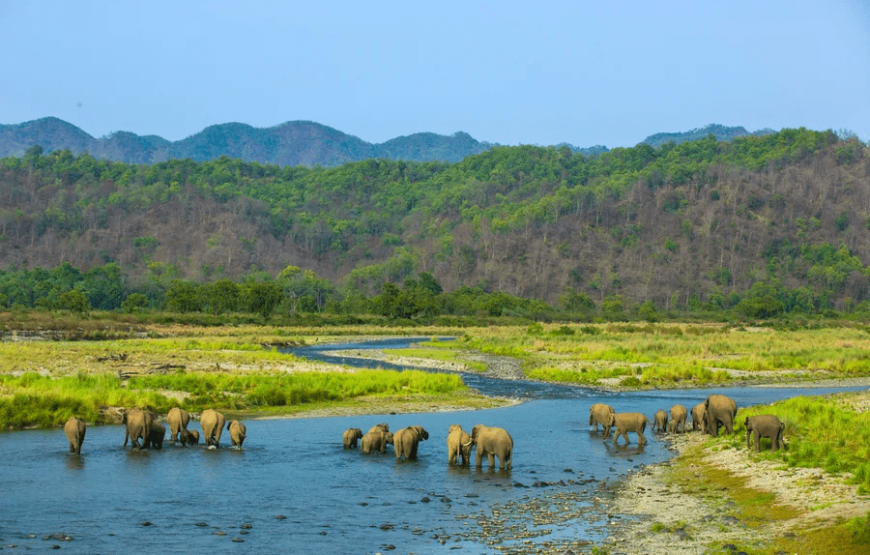 Nainital Corbett – 4 Days