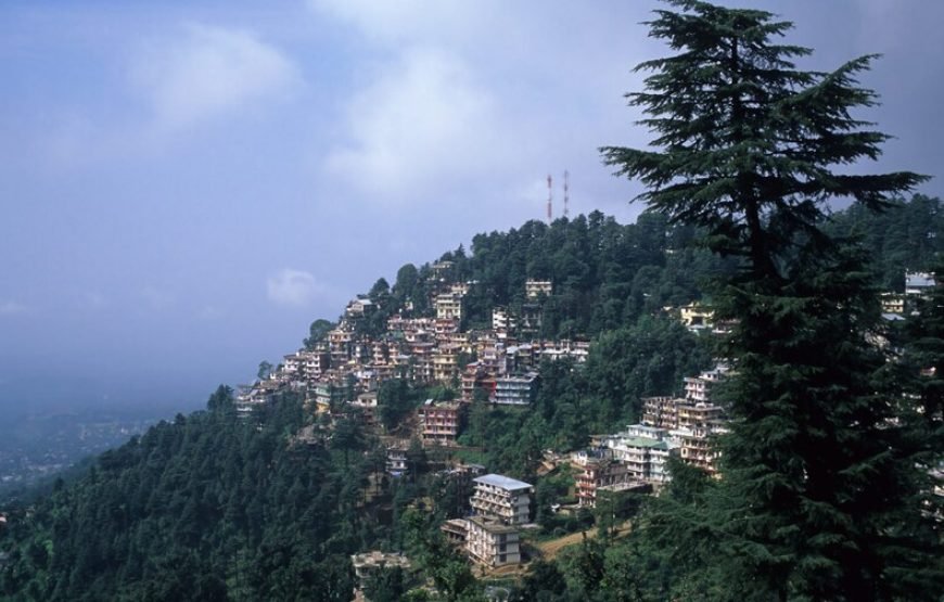 2 Amritsar – 2 Dalhousie – 2 Dharamshala Ex Amritsar